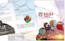 Baliga Fishnets Brochure Design