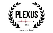 Plexus Medical Logo Design Jaipur